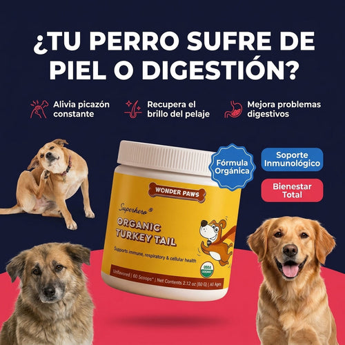 jarvis-oferta — Hongo cola de pavo wonder paws - Perros