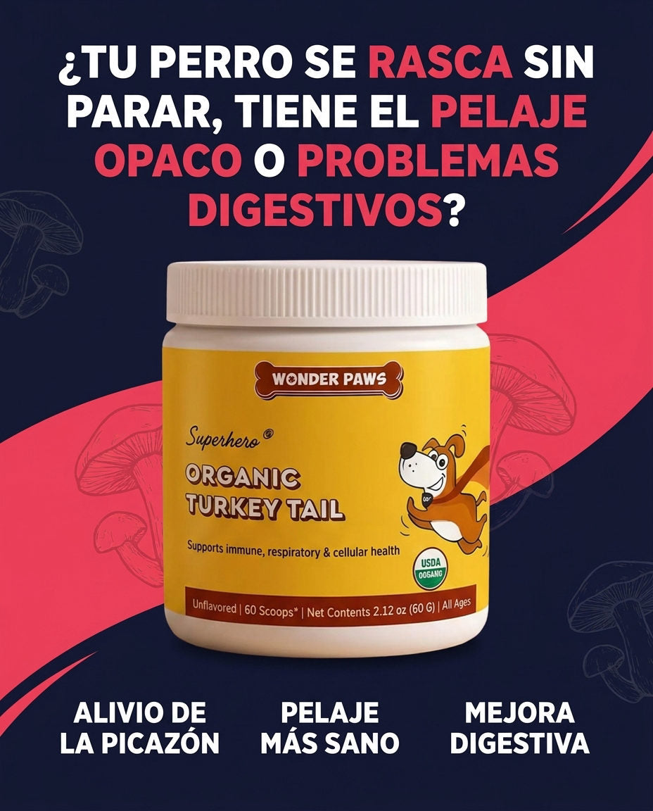 Hongo cola de pavo wonder paws - Perros — CTA FINAL