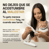 Maquina de afeitar para gatos
