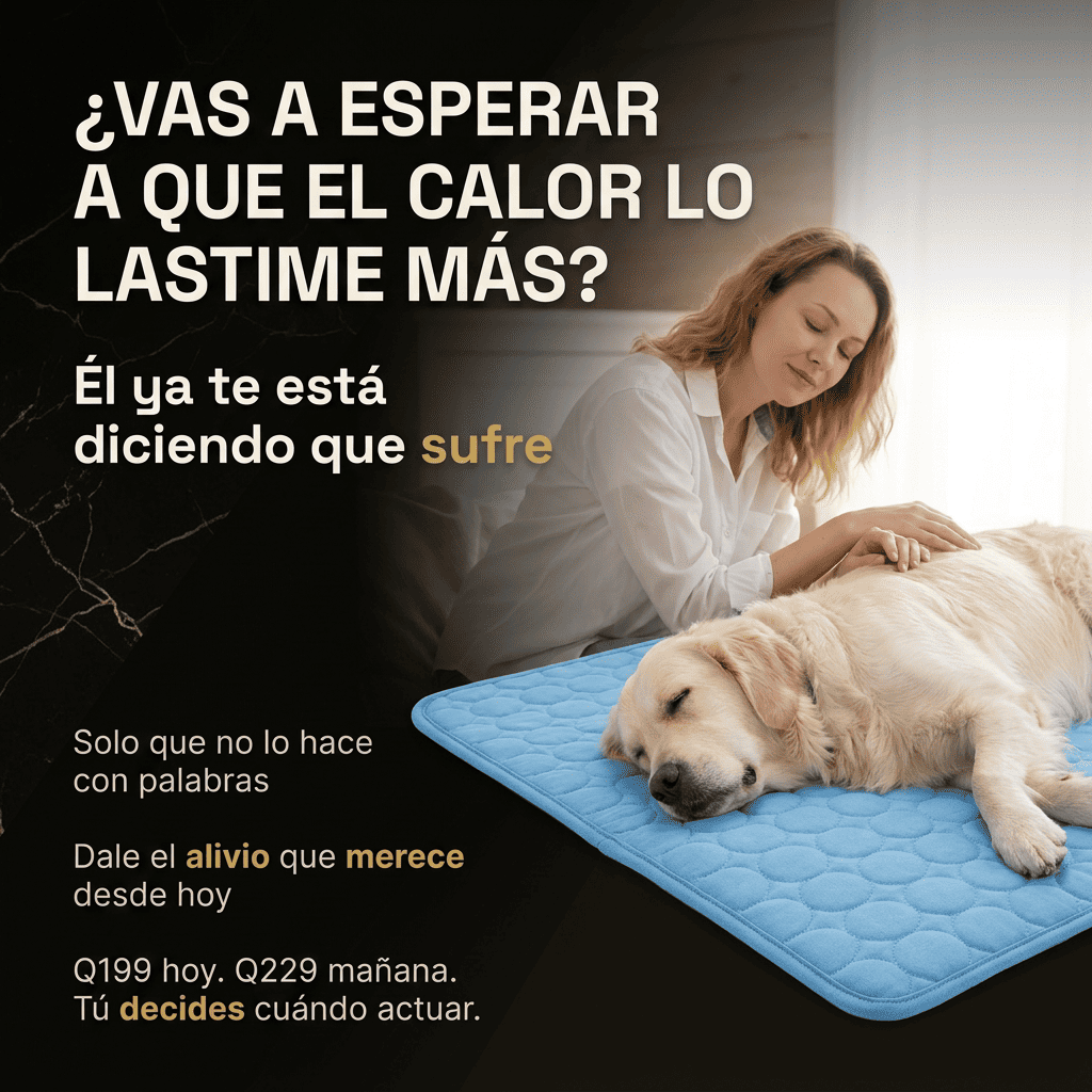 Alfombra refrescante mascotas