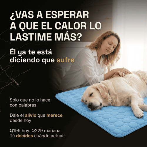 Alfombra refrescante mascotas